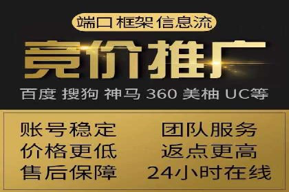 揭秘成功之道：竞价推广公司经典案例分享